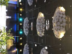 -同庆楼(花园店)