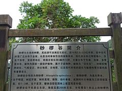 -梧桐山风景名胜区