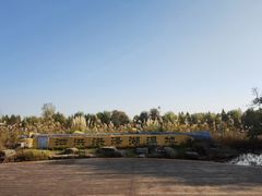 -泗洪洪泽湖湿地景区