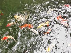 -云溪植物园