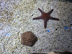-多彩贵州城极地海洋世界
