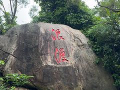 -野狸岛