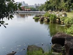 -荔枝公园(福田区)