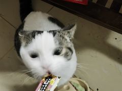 -乐宠动物医院