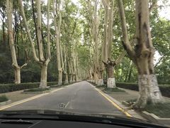 -钟山体育运动公园