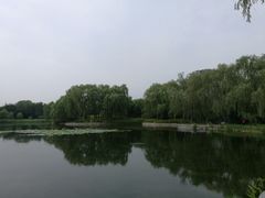 -望湖公园