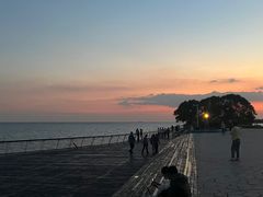 -贡湖湾湿地公园