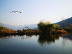 -西昌邛海湿地