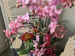 -龙大花卉苗木市场