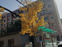 -鱼酷活鱼烤鱼(沈阳大悦城店)