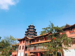 -铁山坪森林公园