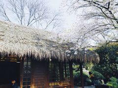 -中国茶叶博物馆(双峰馆区)