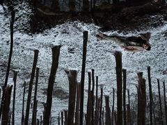 -山王坪喀斯特国家生态公园