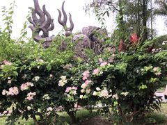 -四海公园(南山区)