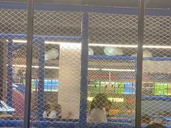 -河坝烧烤串城(金达莱店)