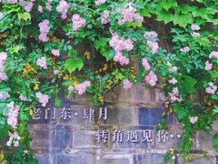 -老门东历史文化街区