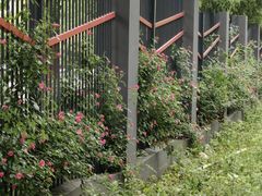 -武汉传媒学院