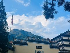 -天目山大树王景区
