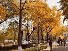 -北京化工大学(东校区)