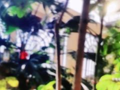 -郑州银基黄帝宫御温泉