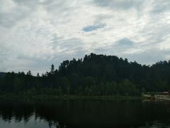 -五营红松林海景区