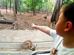 -清迈夜间动物园