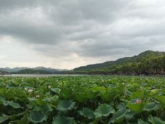 -西湖游船
