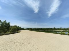 -东郊湿地公园