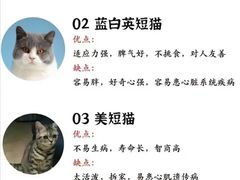 -瑞鹏宠物医院犬猫全科(真大分院)