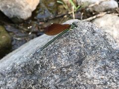 -碓臼峪自然风景区