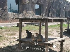 -大连森林动物园