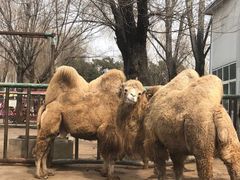 -祥源·阜阳生态乐园