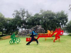 -上海长兴岛郊野公园