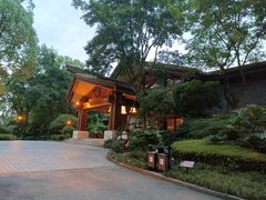 -青城道汤池