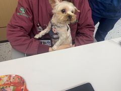 -瑞派康怡24h宠物医院·犬猫医疗中心·微创绝育(瑞景分院)