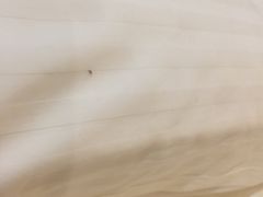 -三亚亚龙湾五号度假别墅酒店