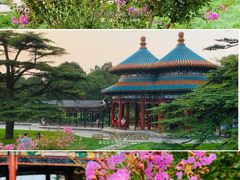 -天坛公园