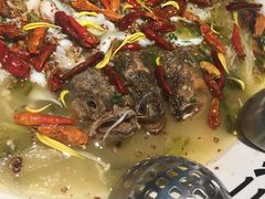 -太二酸菜鱼(汕头苏宁广场店)