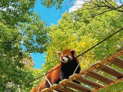 -上海野生动物园