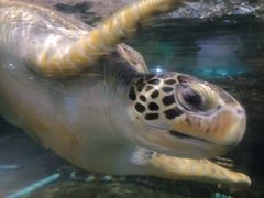 -福州罗源湾海洋世界旅游区