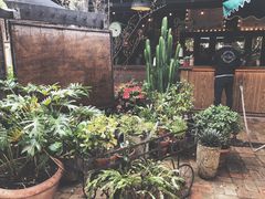 -The Grounds of Alexandria
