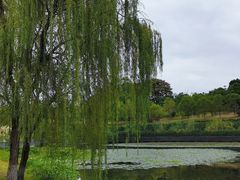 -三圣花乡旅游区