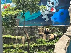 -碧峰峡风景区