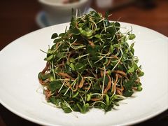 卤干丝拌香椿苗-喜鼎海胆水饺(东港店)