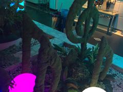 -东方之珠KTV娱乐超市(河北店)