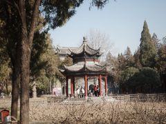 -洛阳白马寺