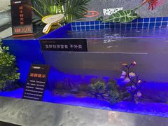 -张亮麻辣烫(哈尔滨金爵万象店)