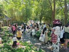 -广西壮族自治区药用植物园