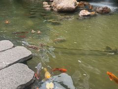 -广州花园酒店