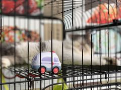 景观位-四季暖堂·融合江浙菜(N1955创业园店)